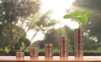 У Вараському районі заготівля лісових ресурсів додала місцевому бюджету 4 млн грн ренти