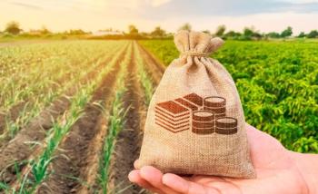 До бюджетів Рівненського району сплачено майже 151 млн грн плати за землю