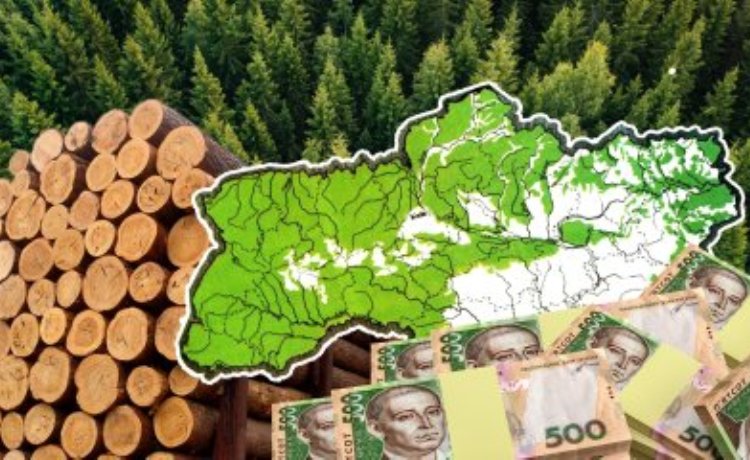 За використання лісових ресурсів до місцевого бюджету Сарненського району сплачено 12,7 млн гривень