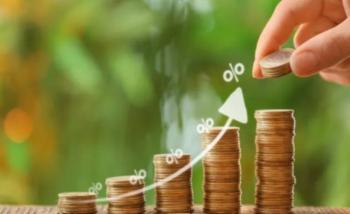 За використання лісових ресурсів до місцевого бюджету Дубенського району сплачено 3,8 млн гривень