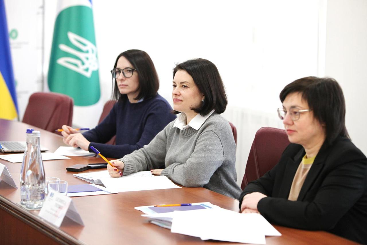 Цифровізація та ефективне адміністрування: ДПС обговорила плани з британськими партнерами. Фото № 4/3