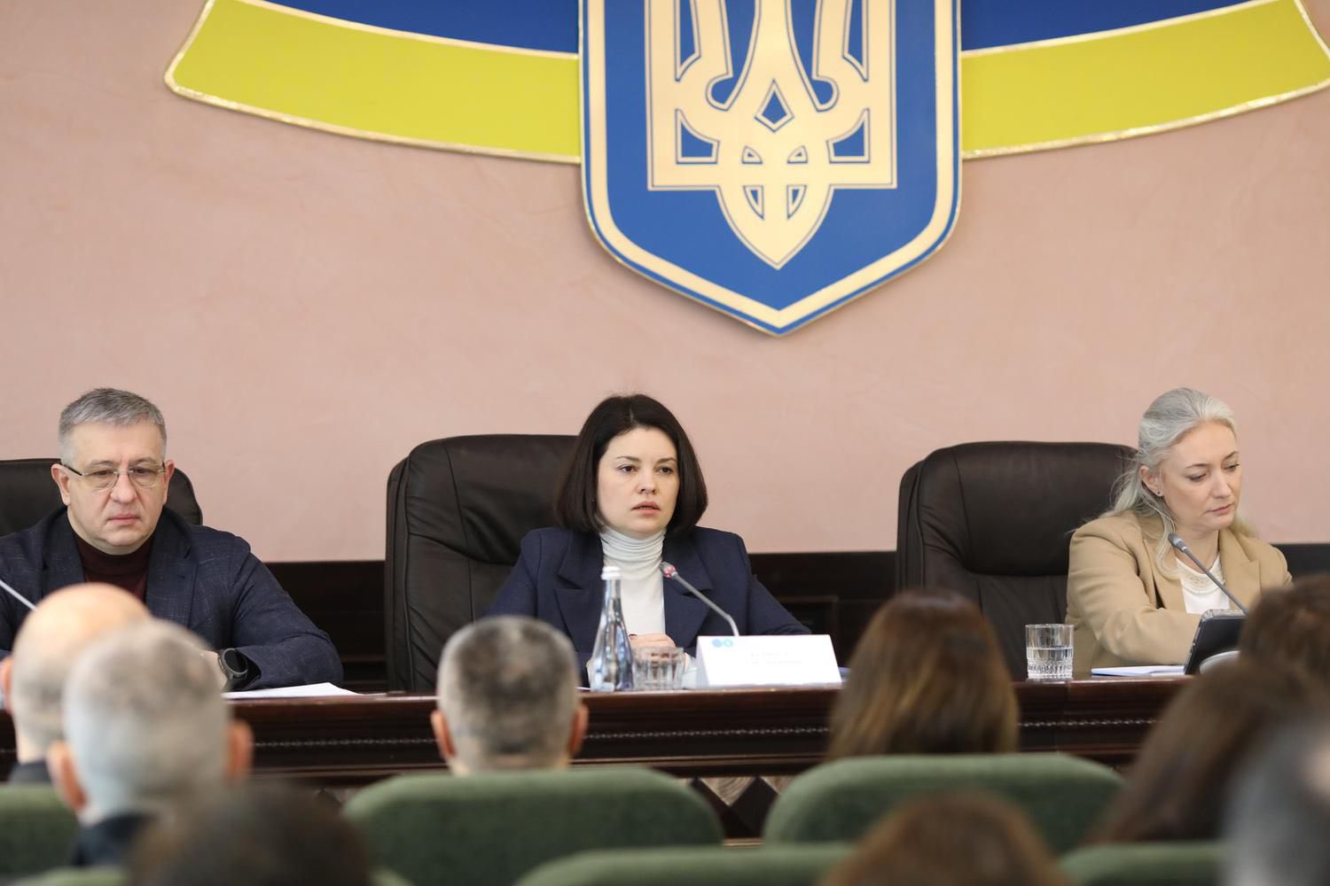 Леся Карнаух провела діалог із бізнесом Вінниччини про перевірки і блокування накладних та презентувала сервіс підтримки грантоотримувачів. Фото № 6/5